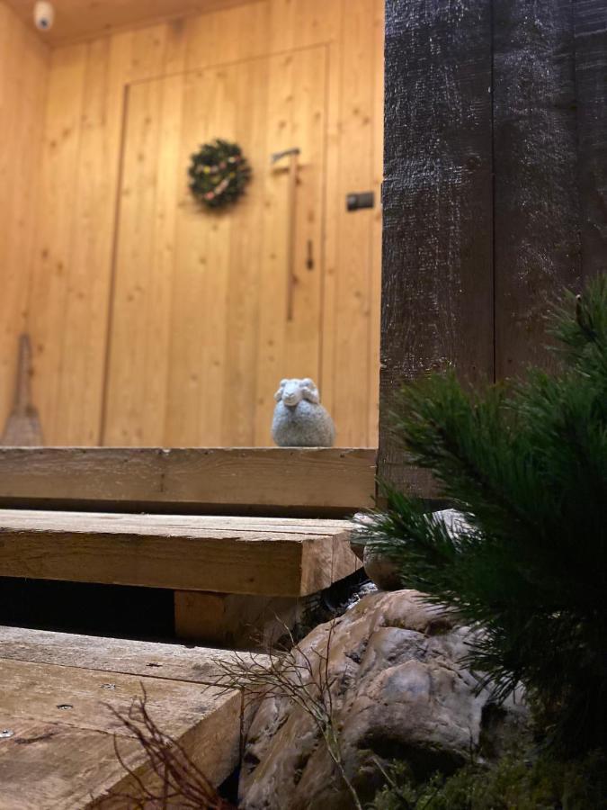 Sopa Zakopane Villa Bagian luar foto